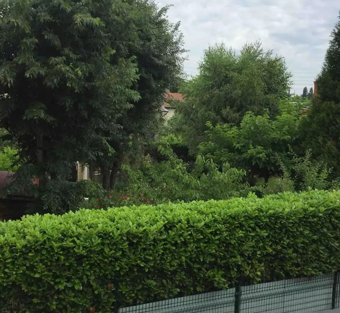 Studio Cosy Lyon Bron France